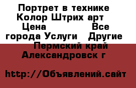 Портрет в технике “Колор-Штрих-арт“ › Цена ­ 250-350 - Все города Услуги » Другие   . Пермский край,Александровск г.